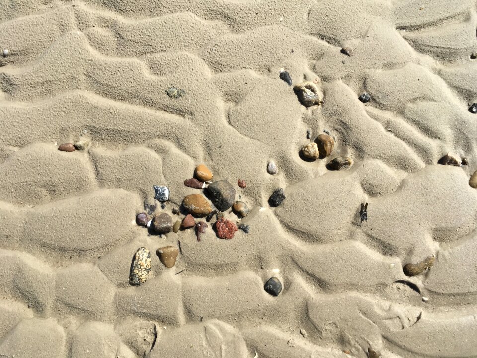 Mussels flints coast at the sea
