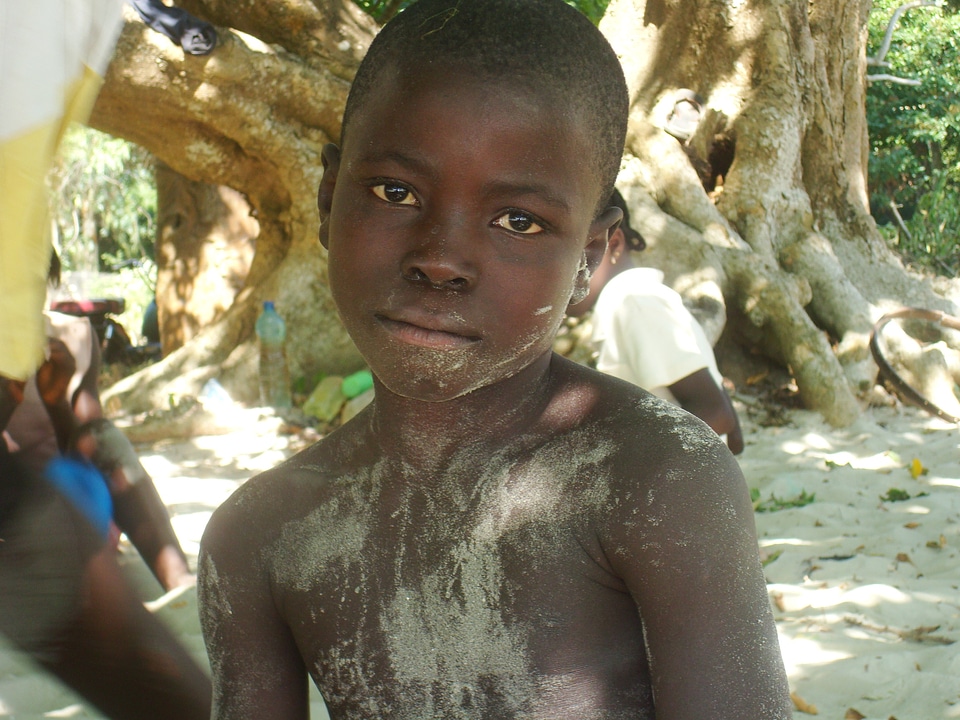 Guinea black african