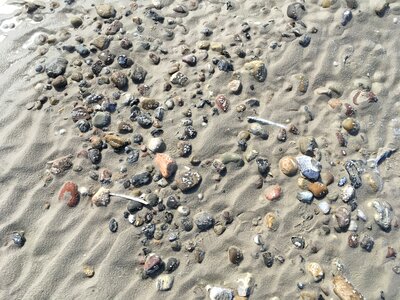 Flints coast by the sea