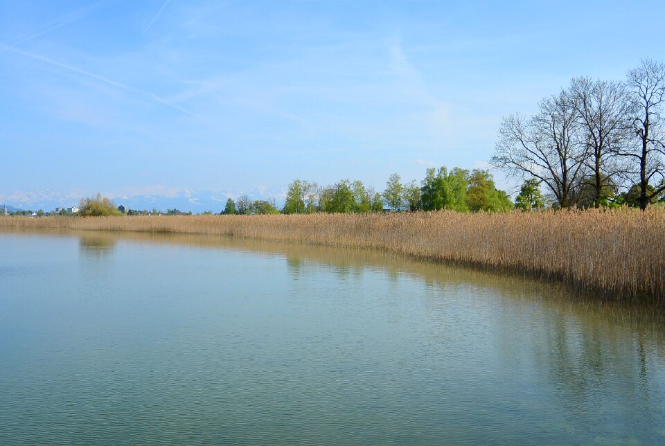 Lake nature water
