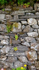 Stone wall texture old