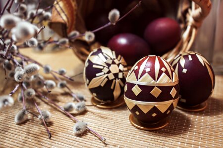 Spring macro egg