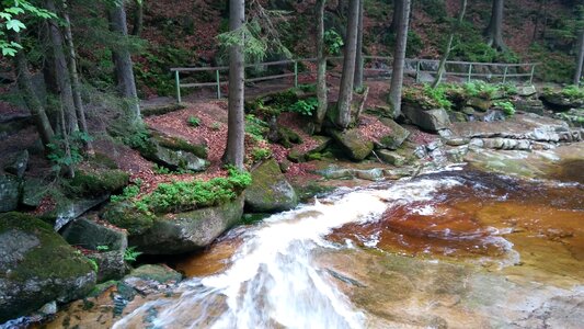 Water path nature