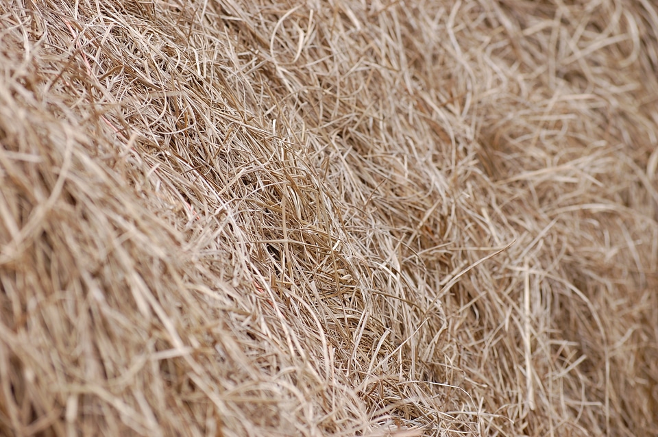 Countryside farm farmland
