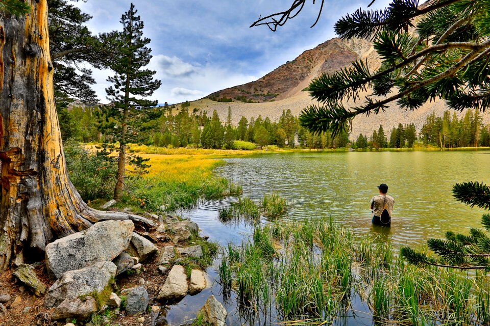 Fisherman water nature photo