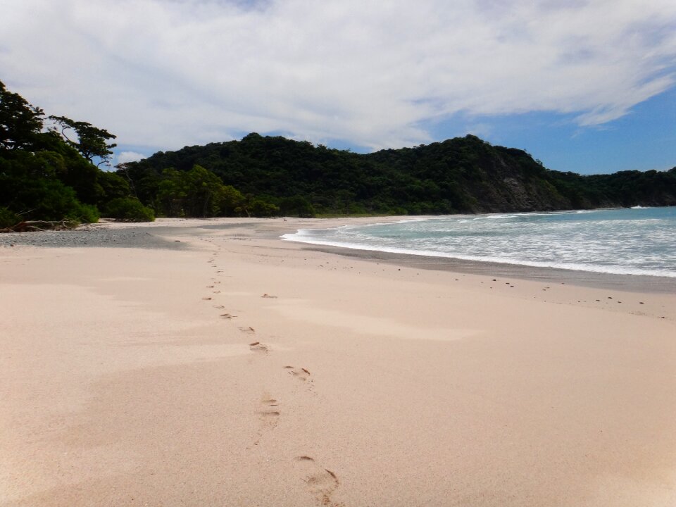 Tropical sea coast