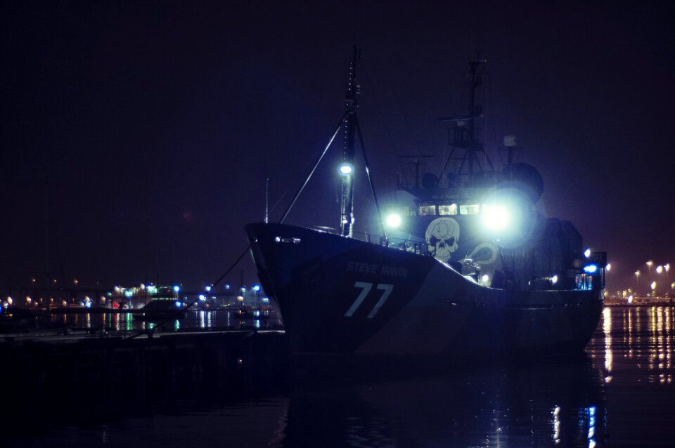 Pirate sea shepherd steve irwin