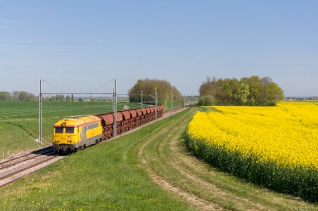 Rapeseed below ballast