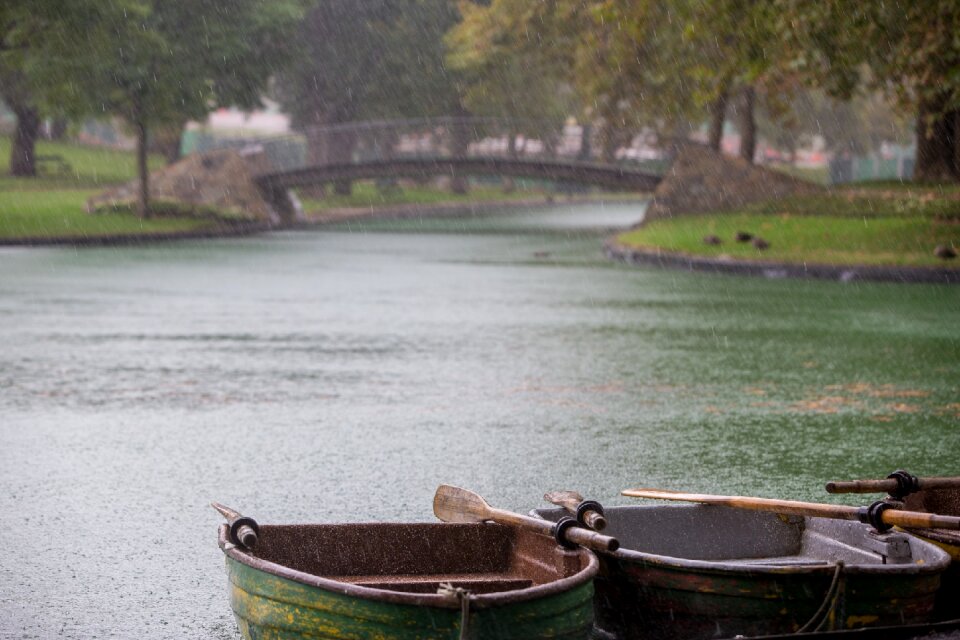 Rain drops park bridge