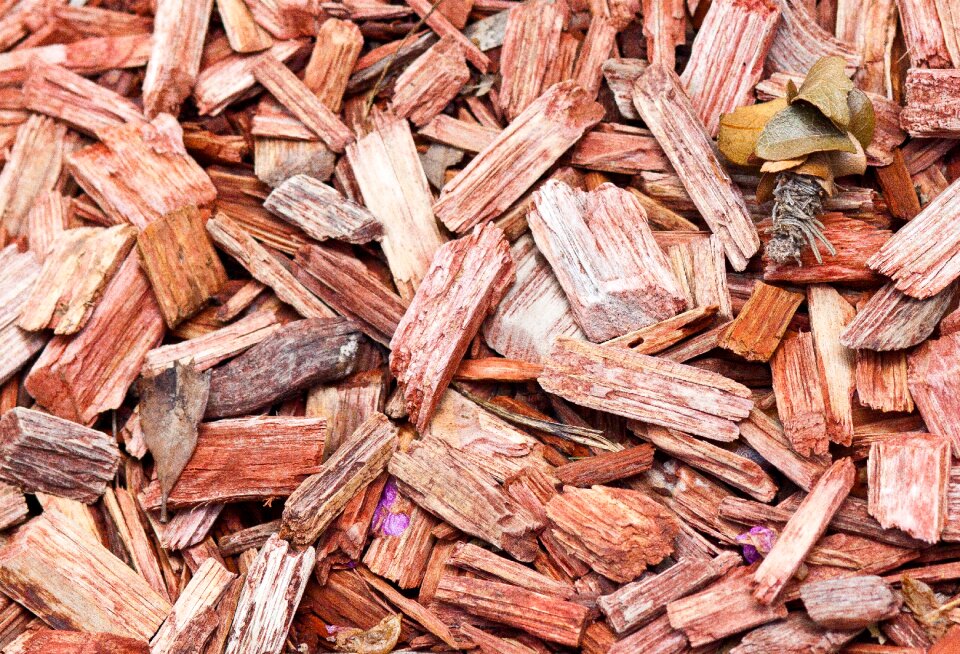 Material bark nature