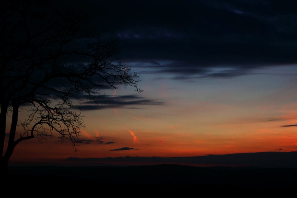 Forest landscape sky photo