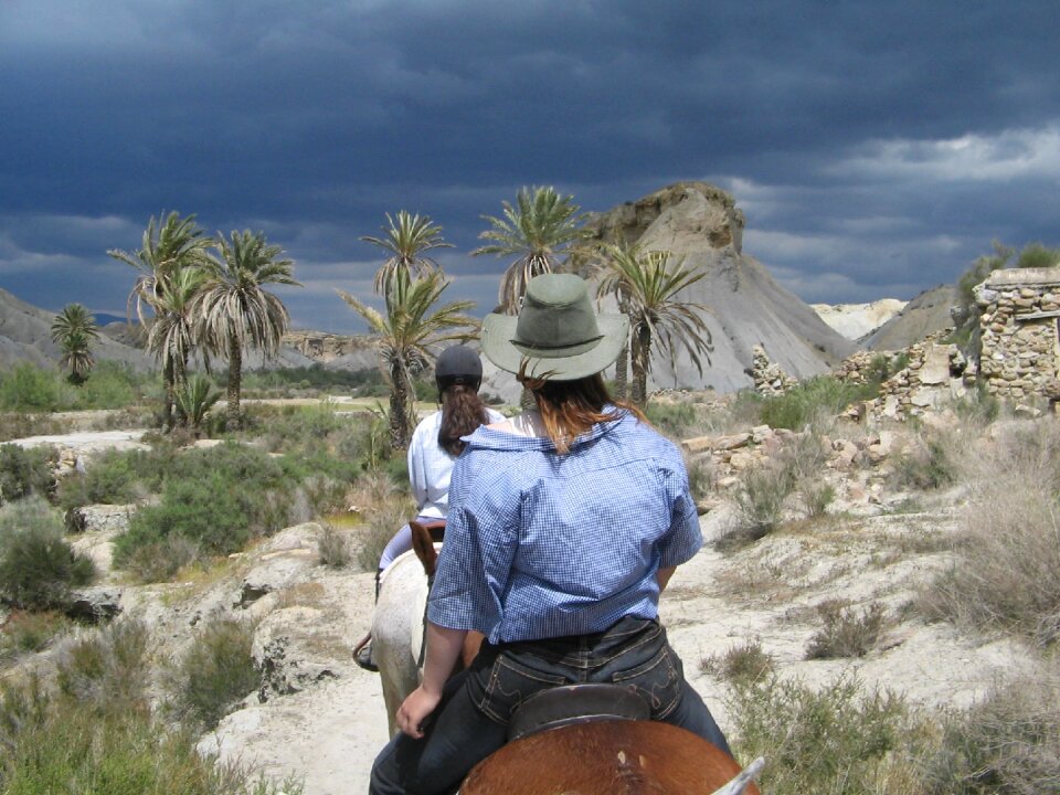 Oasis almeria horses