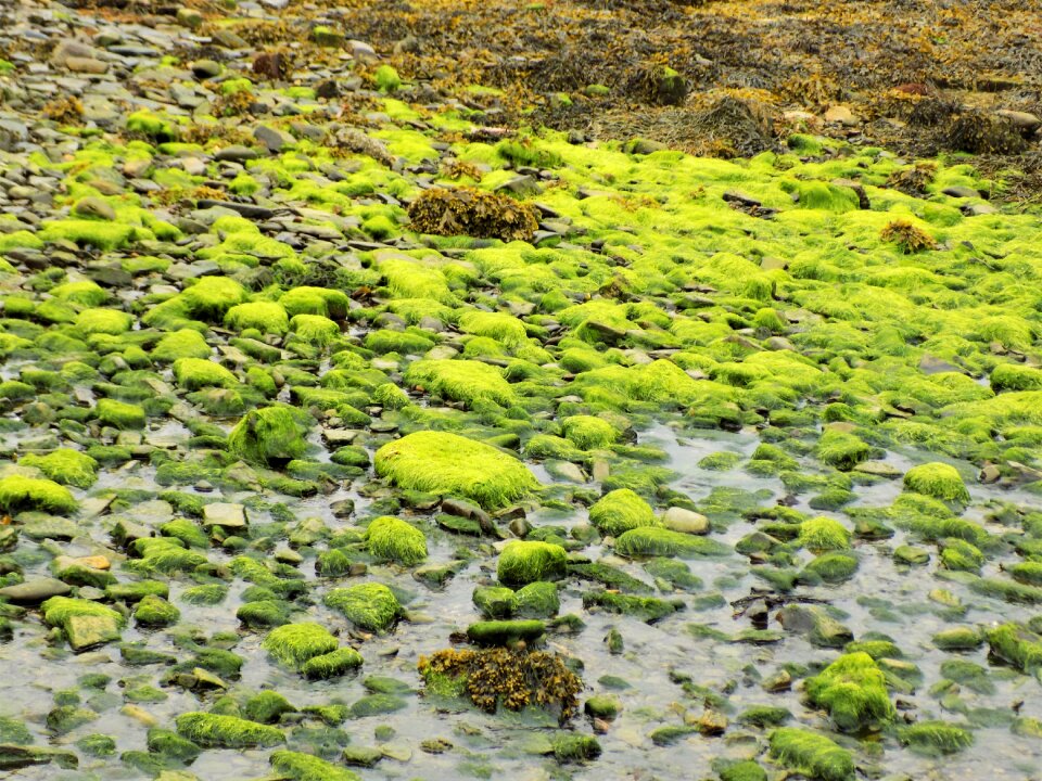 Water coast island