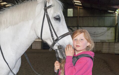 Horse equestrian center horseback riding
