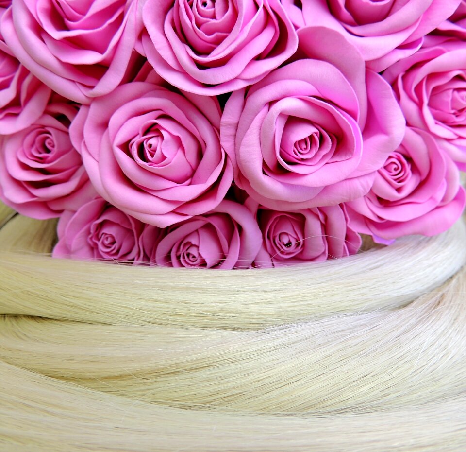 Long hair beauty beauty salon