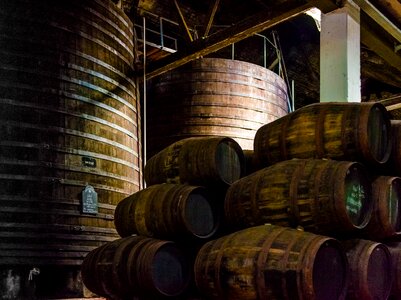 Wooden barrels wine storage dark photo