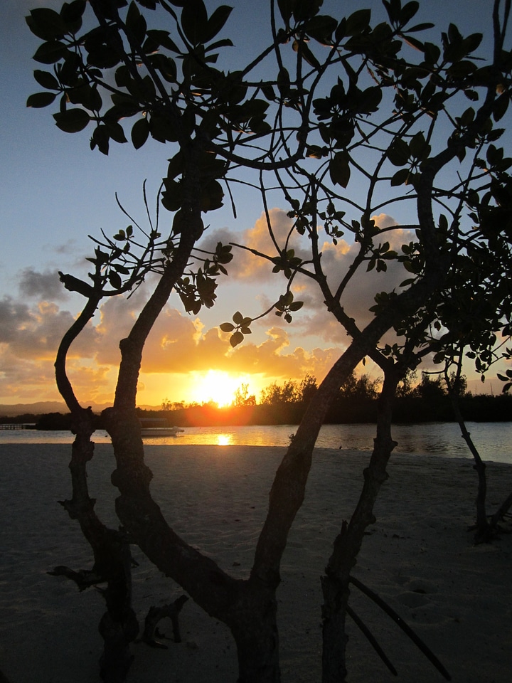 Sea idyll romantic photo