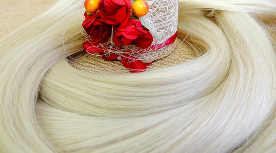 Long hair beauty beauty salon