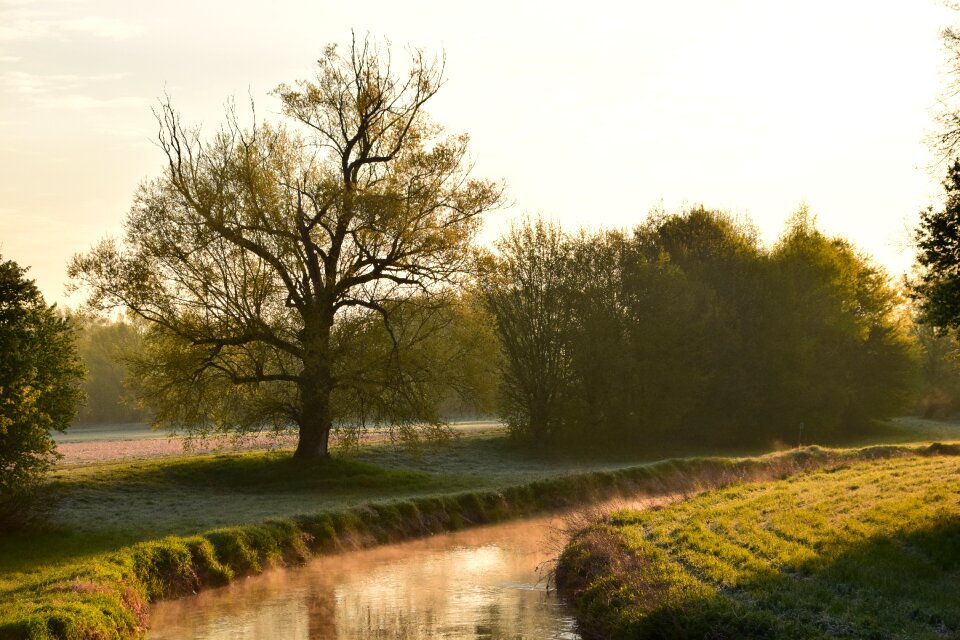 Morning mist landscape nature