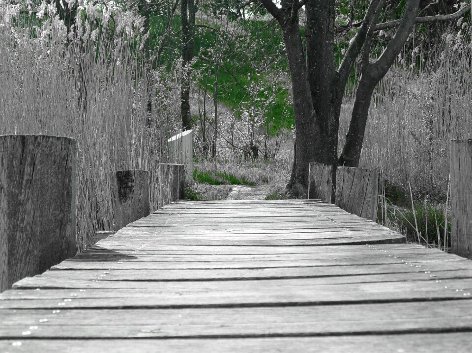 Boardwalk wooden bridge wooden structure