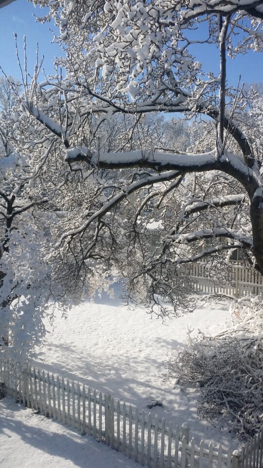 Snow picket fence