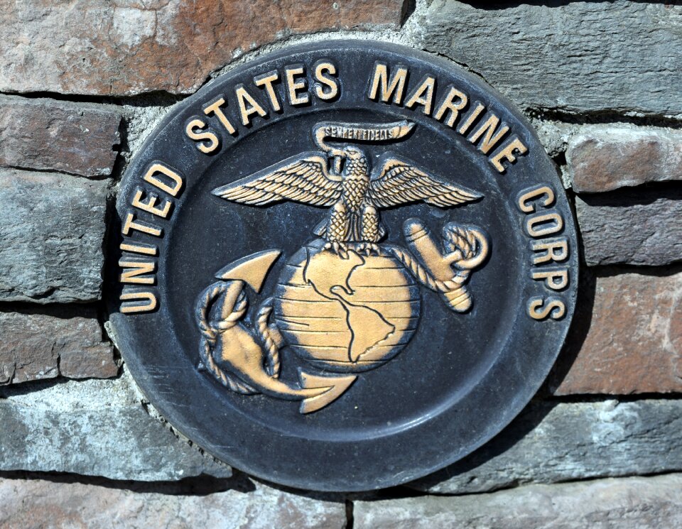 Armed service veteran