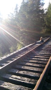 Track railroad railway photo