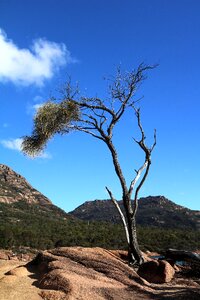 Idyll australia freycinet national park