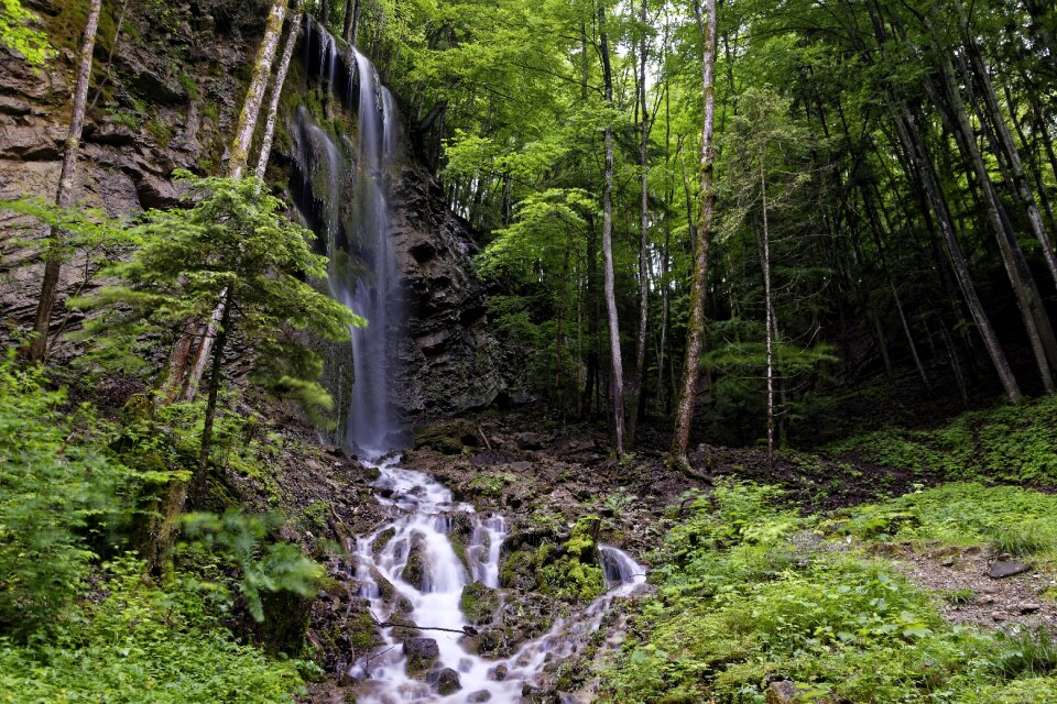 Waterfall nature forest