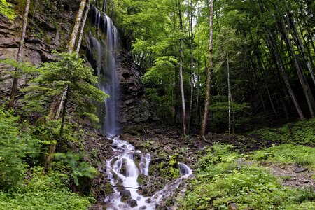 Waterfall nature forest photo