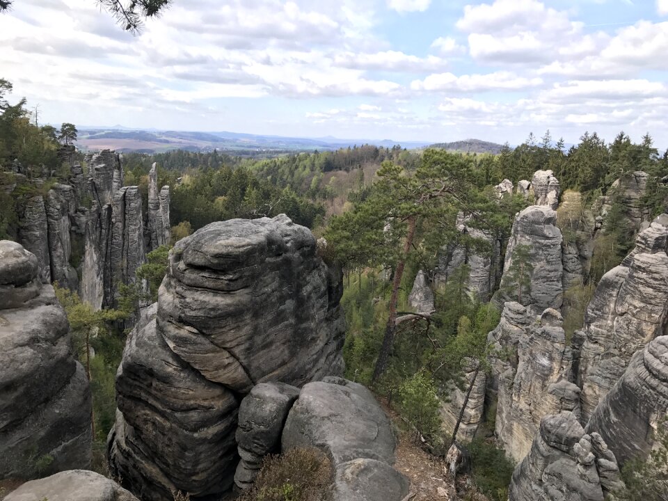 Rocks stone forest