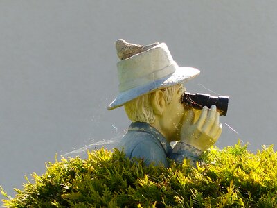Stalk man garden