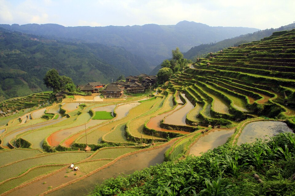 Nature farm green