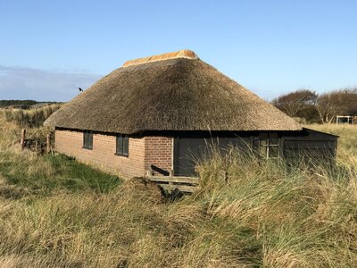 Thatched nature north sea