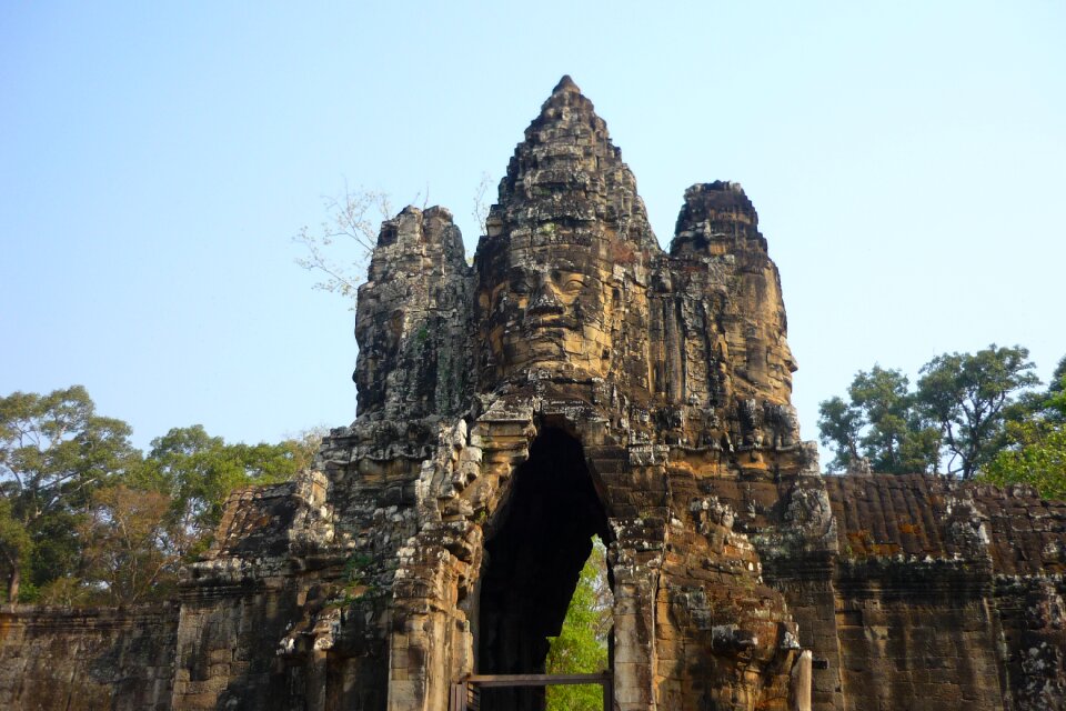 Cambodia angkor wat jungle