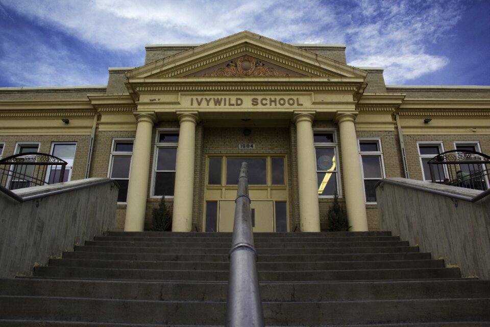 Ivywild retro vintage