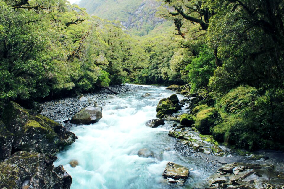 Natural landscape streams
