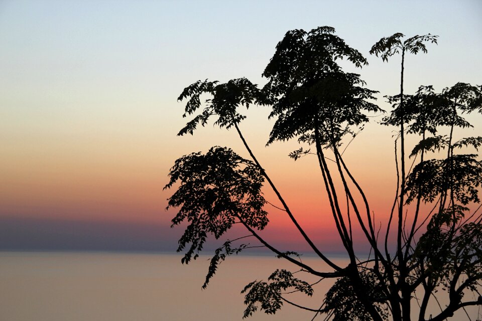 Nature solar landscape