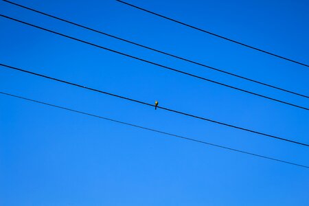 Sky blue power line