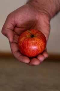 Healthy hands natural