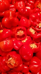 Food pepper red food