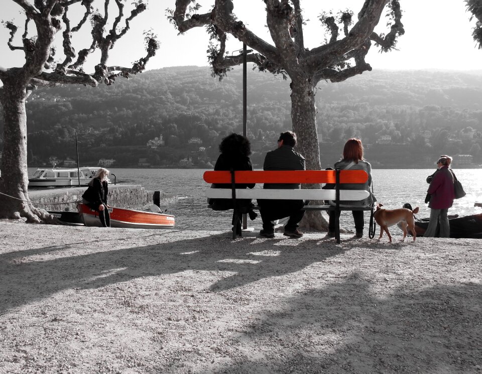 Lake bench lake front