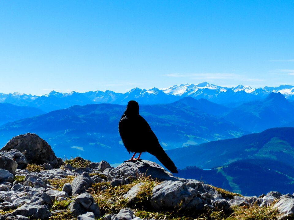 Freedom distant view nature