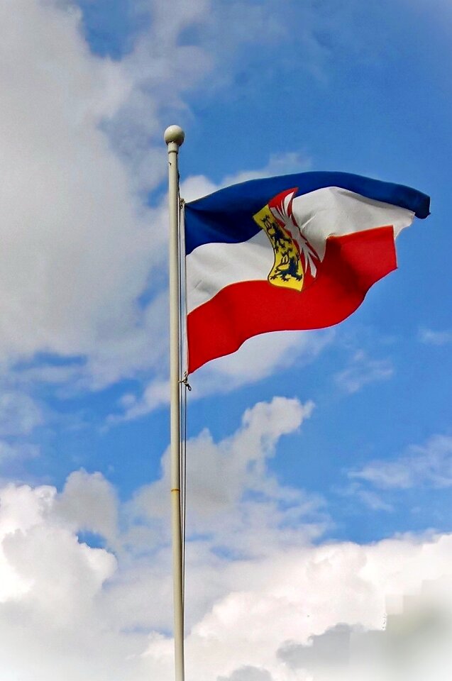 Tricolor blue red white coat of arms of schleswig-holstein