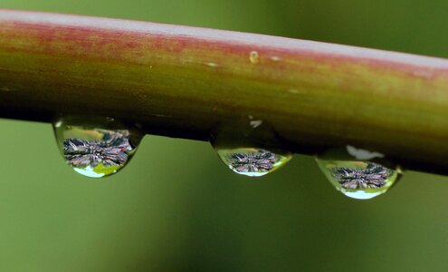 Rain water wet