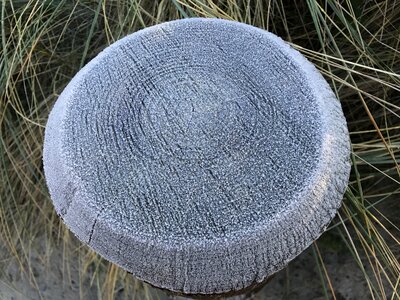 Winter hoarfrost frost