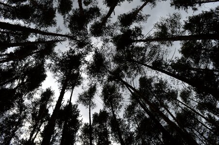Wallpaper images nature landscape