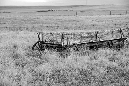 Wagon wooden