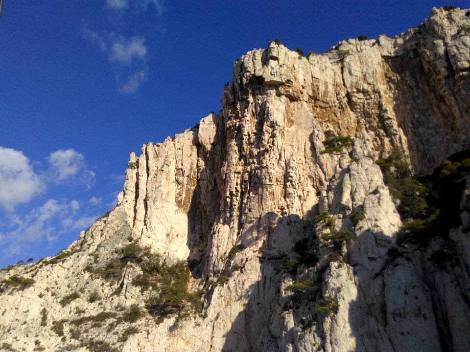 Cliff side nature