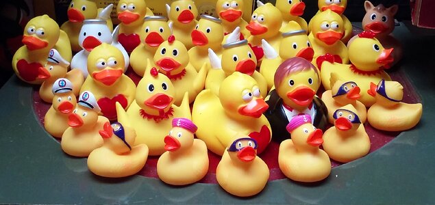 Ducks souvenir shop gift shop